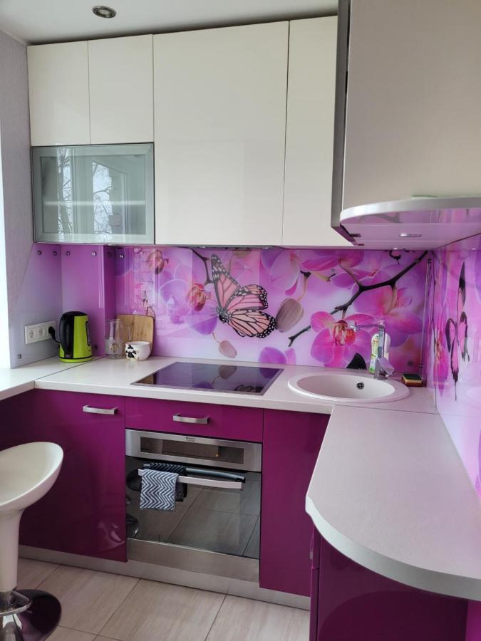 City Apartment Jelgava Ngoại thất bức ảnh